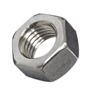 Stainless Steel Hex Nut